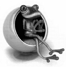 RV3 — Estrategia de marca